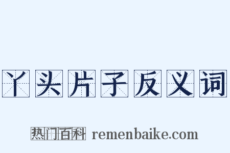 丫头片子反义词是什么意思的图片